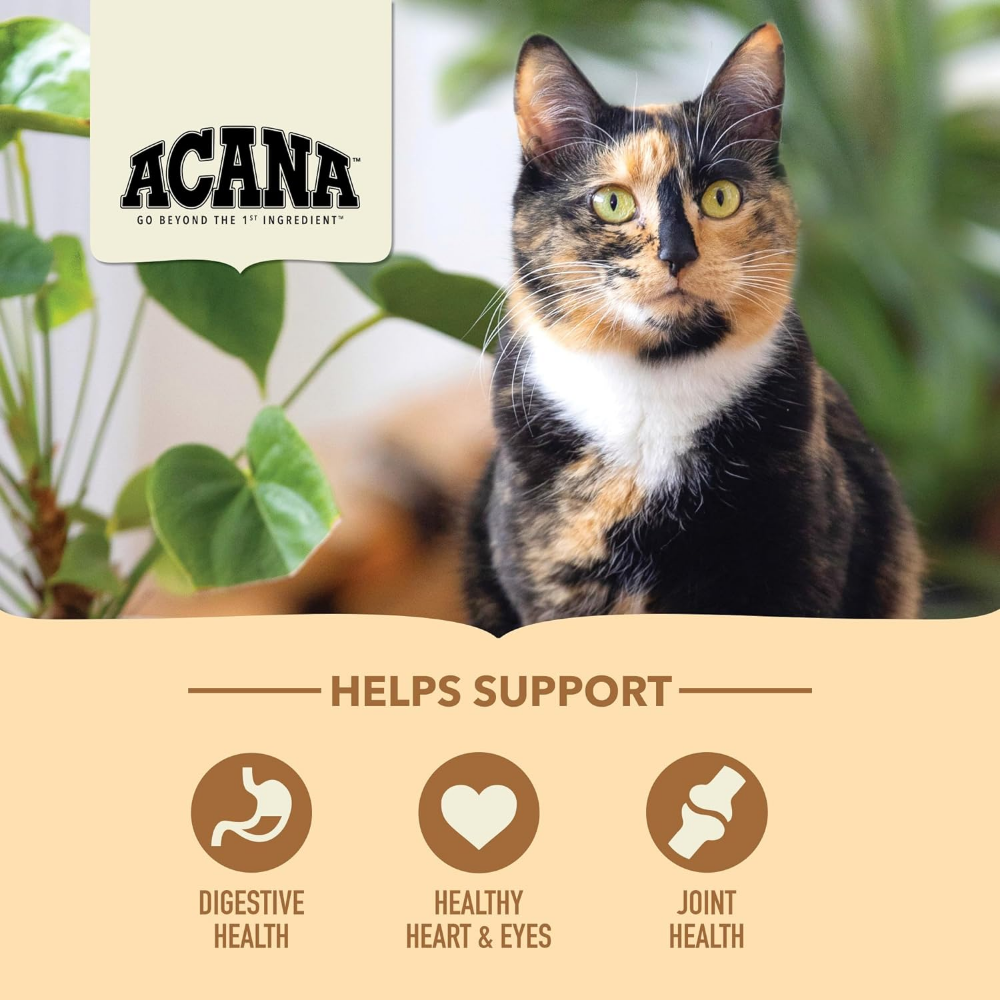 Acana Cat Senior Entree
